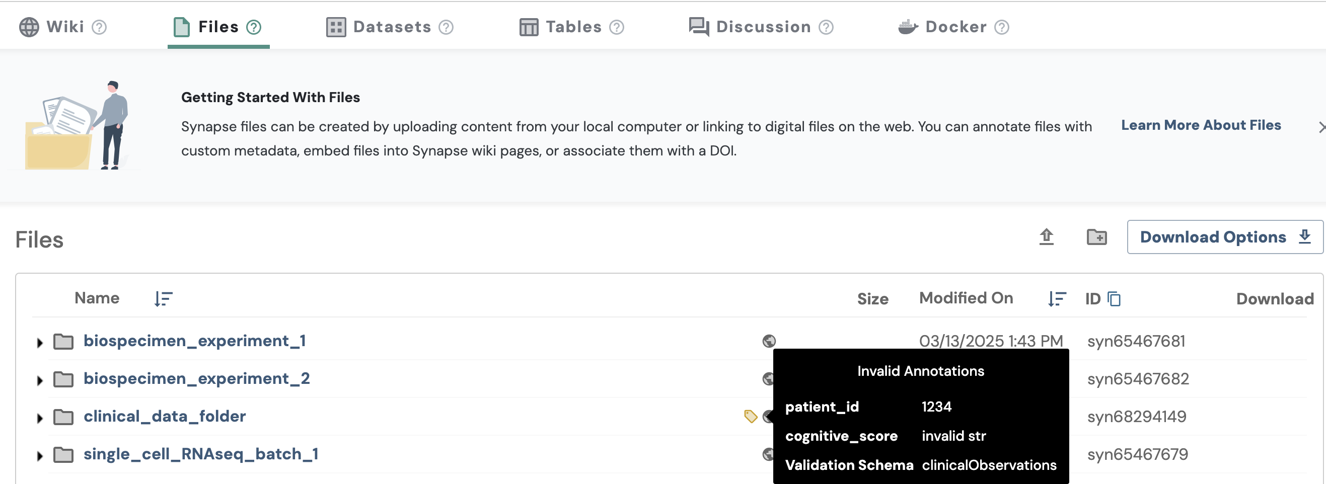 json_schema